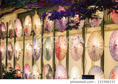 Yushien Garden - Autumn foliage illumination Yushien Garden - Autumn foliage illumination 133306331