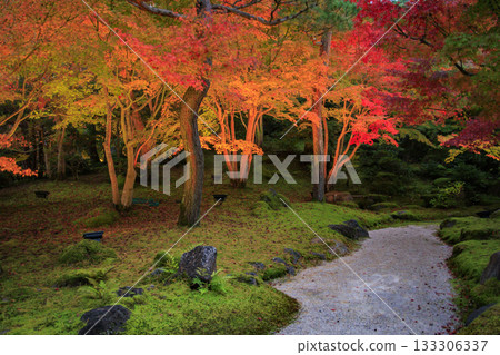 魚仙園－秋葉燈光秀 133306337