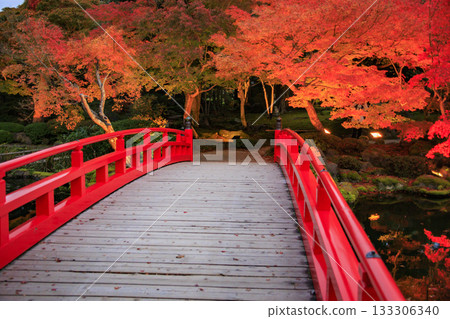 Yushien Garden - Autumn foliage illumination Yushien Garden - Autumn foliage illumination 133306340