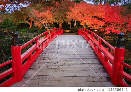 Yushien Garden - Autumn foliage illumination Yushien Garden - Autumn foliage illumination 133306341