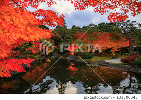 Yushien Garden - Autumn foliage illumination Yushien Garden - Autumn foliage illumination 133306343