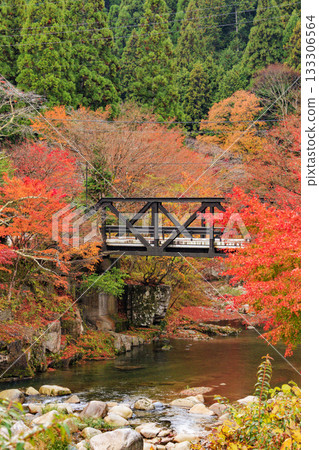 Okutsu Gorge at its best when the autumn leaves are in full bloom Okutsu Gorge at its best when the autumn leaves are in full bloom 133306564