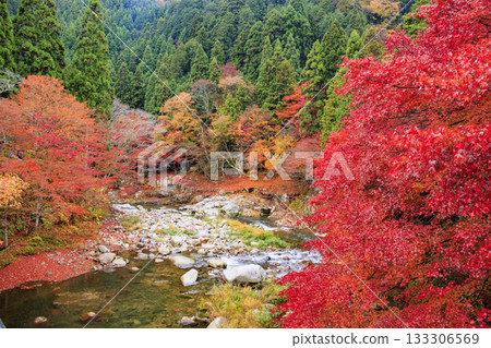Okutsu Gorge at its best when the autumn leaves are in full bloom 133306569