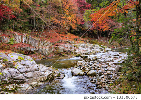 秋葉盛開時,奧津峽谷景色最迷人。 秋葉盛開時,奧津峽谷景色最迷人。 133306573