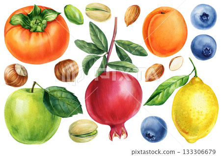 Watercolor fruits and nuts set with pomegranate lemon apple persimmon blueberry apricot botanical food illustration design Watercolor fruits and nuts set with pomegranate lemon apple persimmon blueberry apricot botanical food illustration design 133306679