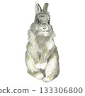 Watercolor drawing. Bunny standing on his hind legs on a white background 133306800