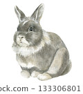 Watercolor illustration of a rabbit. Realistic hand-drawn rabbit. 133306801