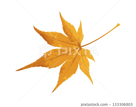 Illustration of a single yellow autumn leaf 133306803