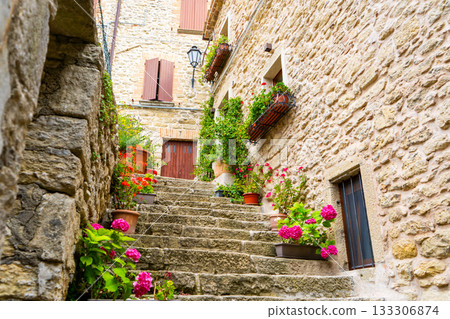 Steps old narrow street in San Marino. Stairs of houses with flowers on street. Steps old narrow street in San Marino. Stairs of houses with flowers on street. 133306874