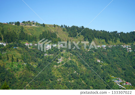 Houses Built on Steep Forested Slope of a Himalayan Hillside Town at Darjeeling Houses Built on Steep Forested Slope of a Himalayan Hillside Town at Darjeeling 133307022