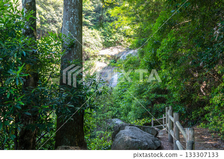 Shiraito Falls in lush forest on Mount Misen, Miyajima Shiraito Falls in lush forest on Mount Misen, Miyajima 133307133