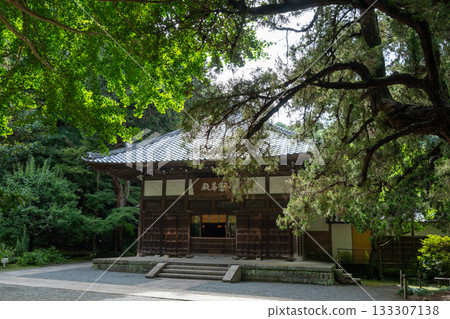 Main hall of Jochi-ji Temple in Kamakura, Japan in summer Main hall of Jochi-ji Temple in Kamakura, Japan in summer 133307138