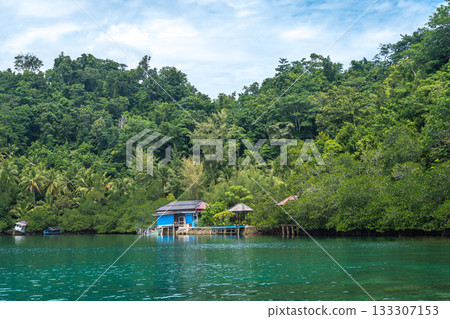 Fishermen houses near the forest in Togian Islands Sulawesi Indonesia 133307153