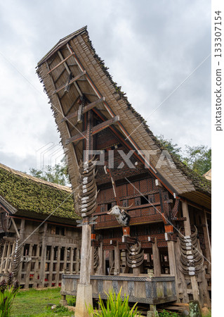 Traditional Tongkonan Toraja house, Sulawesi, Indonesia Traditional Tongkonan Toraja house, Sulawesi, Indonesia 133307154