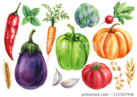 Watercolor vegetables set pumpkin pepper eggplant carrot tomato artichoke radish chili garlic herbs botanical food illustration Watercolor vegetables set pumpkin pepper eggplant carrot tomato artichoke radish chili garlic herbs botanical food illustration 133307446