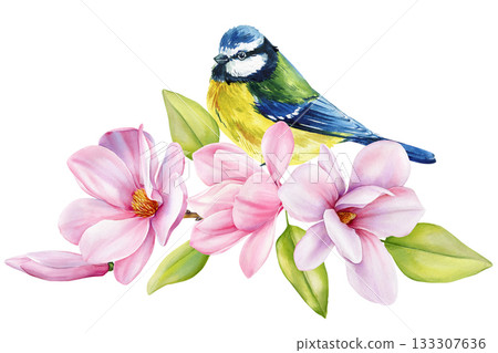 Watercolor songbird with pink magnolia flowers and green leaves delicate spring botanical illustration for floral natural design 133307636