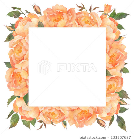 Square frame of lush orange roses. Watercolor illustration hand drawn and isolated on white background. Ideal for decorating postcards, wedding invitations or other celebrations, polygraph, textile Square frame of lush orange roses. Watercolor illustration hand drawn and isolated on white background. Ideal for decorating postcards, wedding invitations or other celebrations, polygraph, textile 133307687