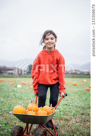 standing on a field happy girl in orange hoodie holding a cart full of pumpkin on a foggy day 133308678
