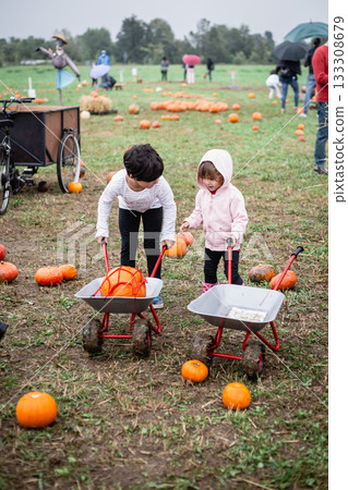 two children standing on a field with carts to collect pumpkins lying around 133308679