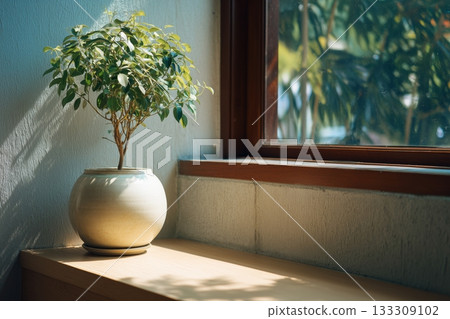 Indoor Plant Adds a Touch of Greenery to the Cozy Window Sill in a Sunlit Room 133309102