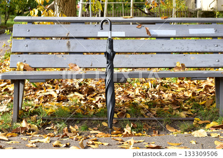 Autumn. Yellow dry leaves and an umbrella, attributes of autumn. Autumn. Yellow dry leaves and an umbrella, attributes of autumn. 133309506