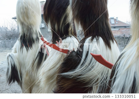 Kukeri Performers Dancing in Fur Costumes Kukeri Performers Dancing in Fur Costumes 133310051