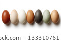 Different eggs showing variety in colors and textures 133310761