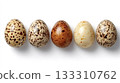 Bird eggs showing natural diversity in speckled patterns 133310762