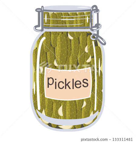 Homemade gherkins marinated small cornichons in glass jar vector illustration Homemade gherkins marinated small cornichons in glass jar vector illustration 133311481