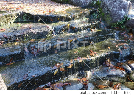 A clear stream flowing down stone steps decorated with fallen leaves A clear stream flowing down stone steps decorated with fallen leaves 133311634