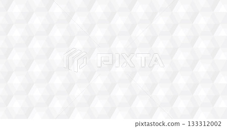 Abstract bas relief monochrome hexagon seamless pattern rectangle background 133312002