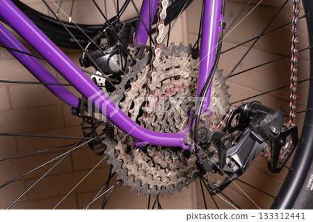 Bicycle Rear Drivetrain Close-Up 133312441