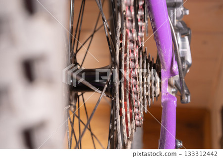 Bicycle Rear Cassette and Derailleur 133312442