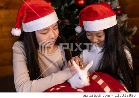 girls are gently interacting with a small white rabbit during Christmas season girls are gently interacting with a small white rabbit during Christmas season 133312986