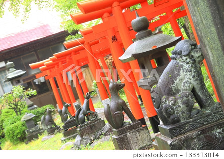 【秋田縣】洋次郎稻荷神社,在那裡您將看到眾多守護獅子和稻荷神像。 【秋田縣】洋次郎稻荷神社,在那裡您將看到眾多守護獅子和稻荷神像。 133313014