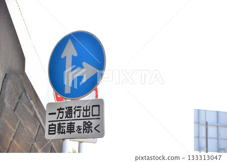 Road sign No progress outside the designated direction 133313047