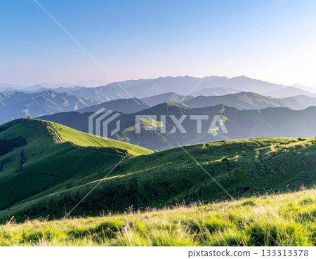 Background material 133313378