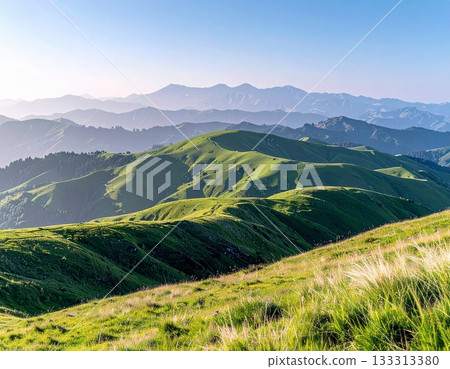 Background material 133313380