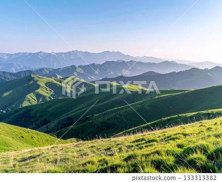 Background material Background material 133313382