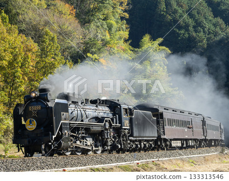 Steam locomotive running through forested areas 133313546