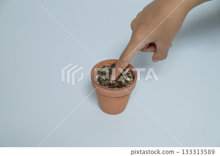 Hands touching the soil in a small flowerpot 133313589