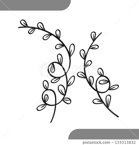 Hand Drawn Botanical Vine Sprig Line Art Collection. Vector illustration. 133313832