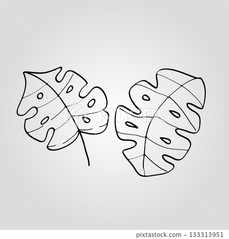 Monstera leaves doodle line art drawing coloring page vector illustration 133313951