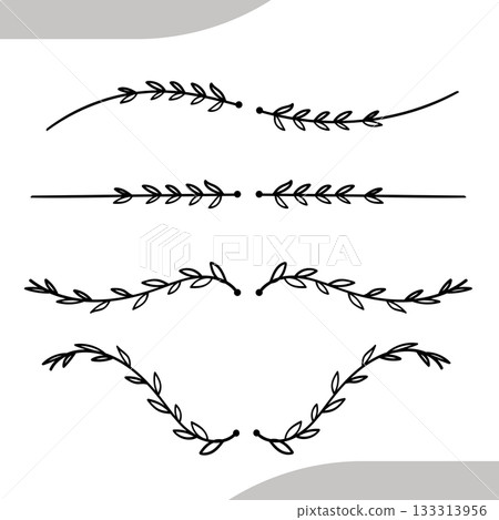 Vines line divider for text layout separator hand drawn decoration vector illustration Vines line divider for text layout separator hand drawn decoration vector illustration 133313956