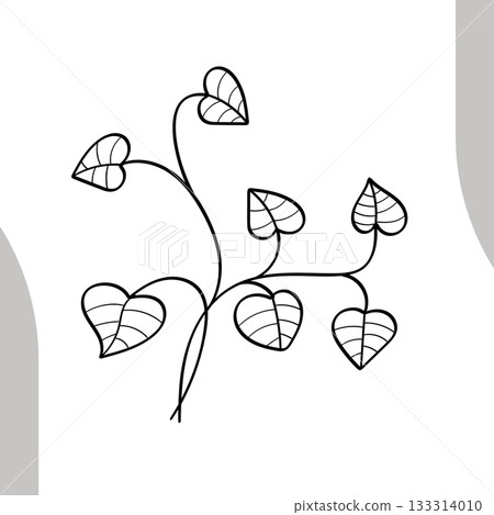 Hand drawn line art heart shaped leaves vine botanical illustration 133314010