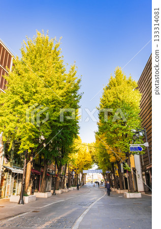 Autumn in Seoul: Morning view of Insadong's main street 133314081