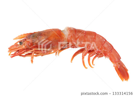 一隻生的紅蝦(帶頭),透明背景(png) 一隻生的紅蝦(帶頭),透明背景(png) 133314156