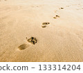Footprints on the sandy beach and a tranquil seaside scene 133314204