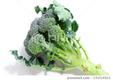 Broccoli - Freshly harvested broccoli 133314323