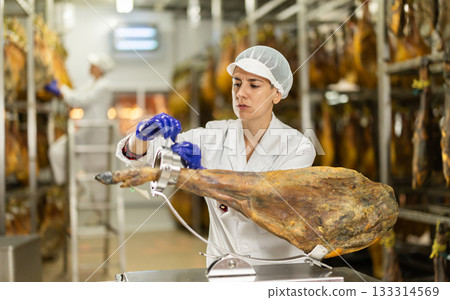 Woman factory worker places hamon in cutting device jamonero Woman factory worker places hamon in cutting device jamonero 133314569